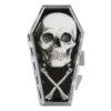 Anatomical Skull Coffin Compact