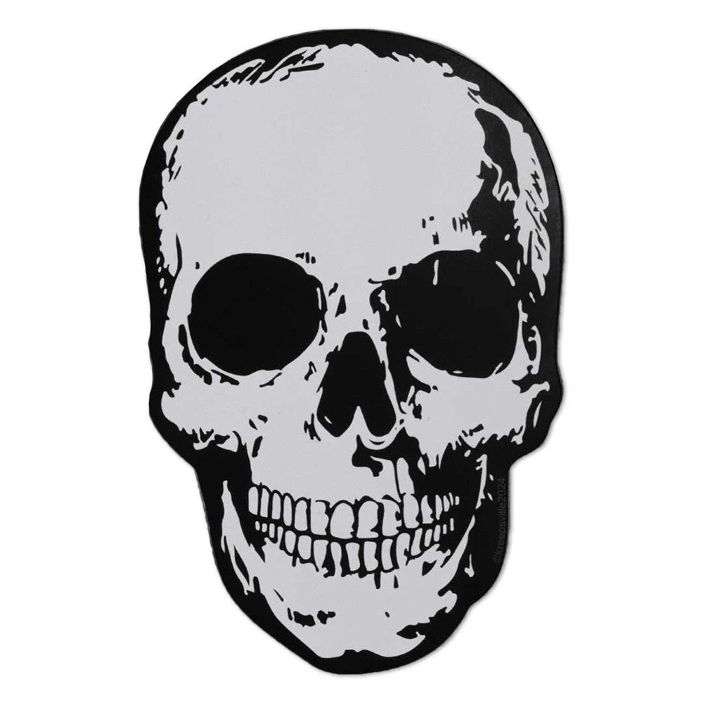 Anatomical Skull Vinyl Sticker 1 Anatomical Skull Vinyl Sticker